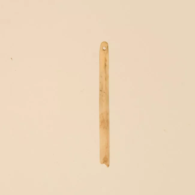 Aguja (arqueológico y etnográfico)
