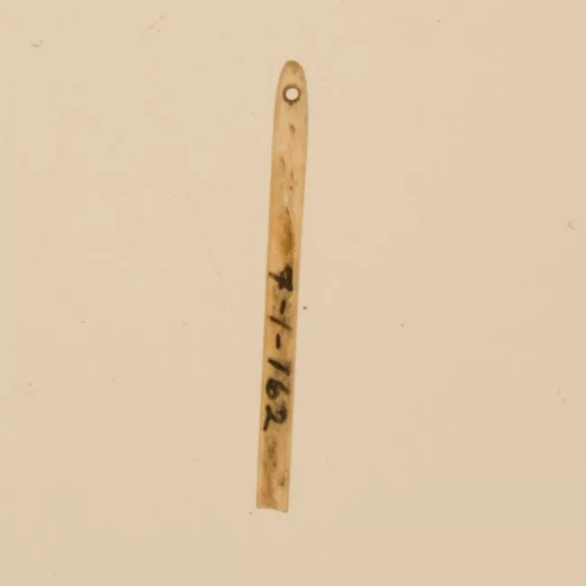 Aguja (arqueológico y etnográfico)