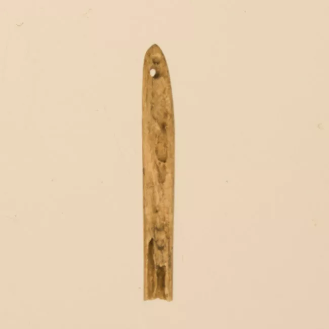 Aguja (arqueológico y etnográfico)