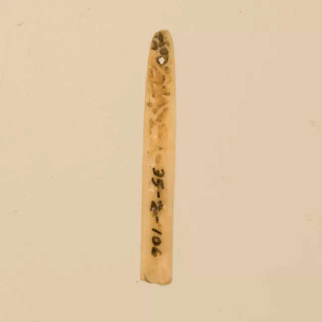 Aguja (arqueológico y etnográfico)