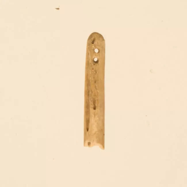 Aguja (arqueológico y etnográfico)