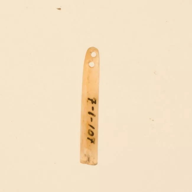 Aguja (arqueológico y etnográfico)