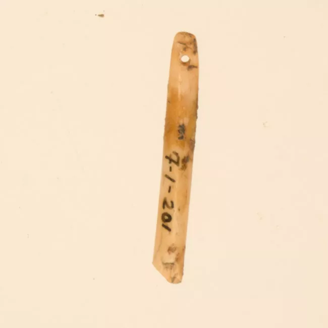 Aguja (arqueológico y etnográfico)