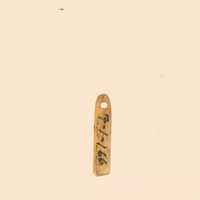 Aguja (arqueológico y etnográfico)