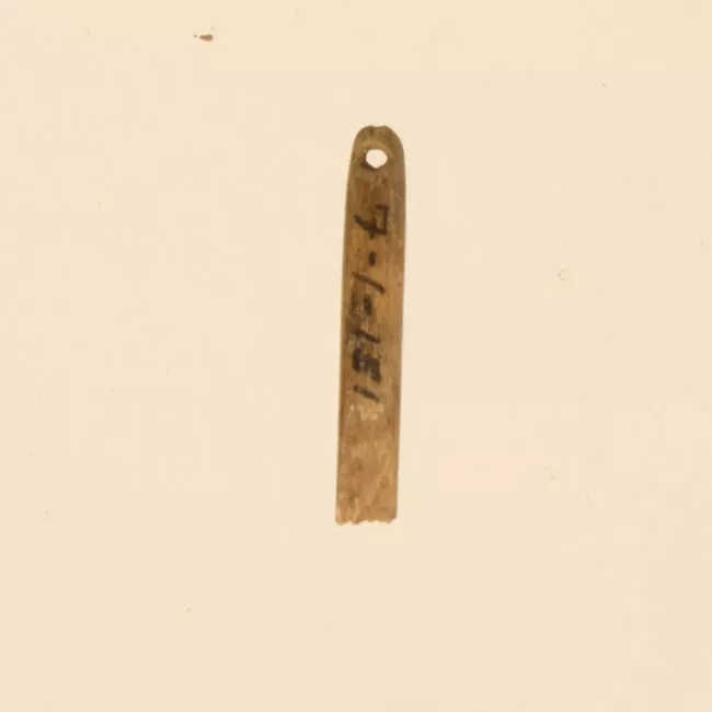Aguja (arqueológico y etnográfico)