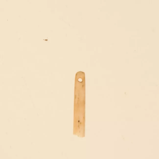 Aguja (arqueológico y etnográfico)