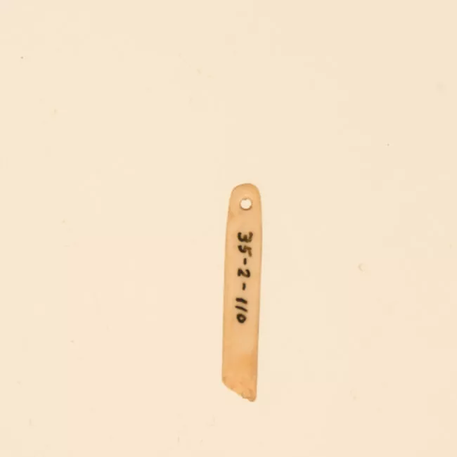 Aguja (arqueológico y etnográfico)