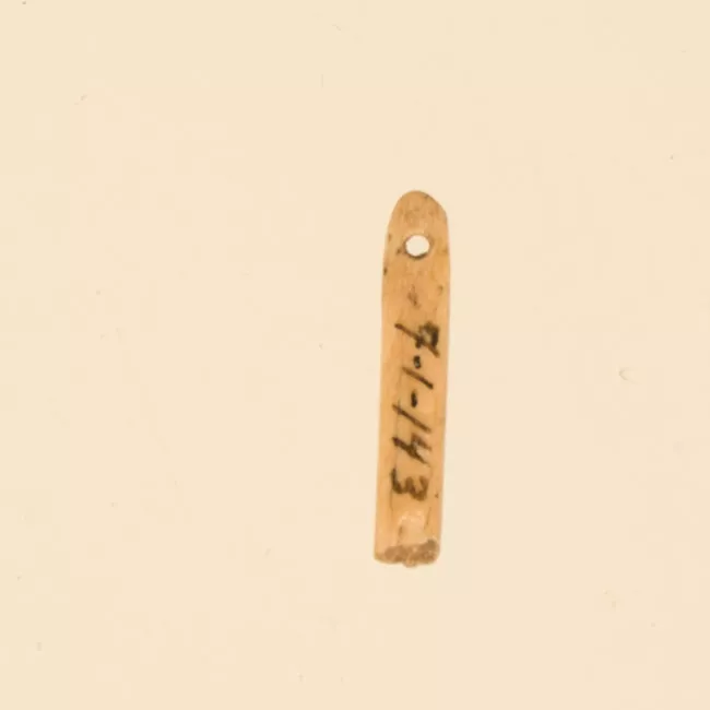 Aguja (arqueológico y etnográfico)