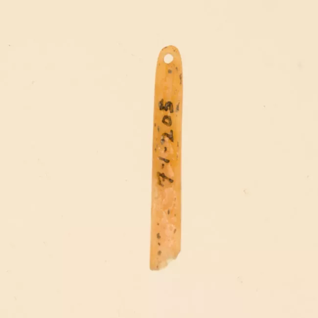 Aguja (arqueológico y etnográfico)