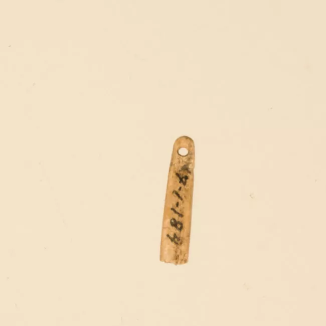 Aguja (arqueológico y etnográfico)