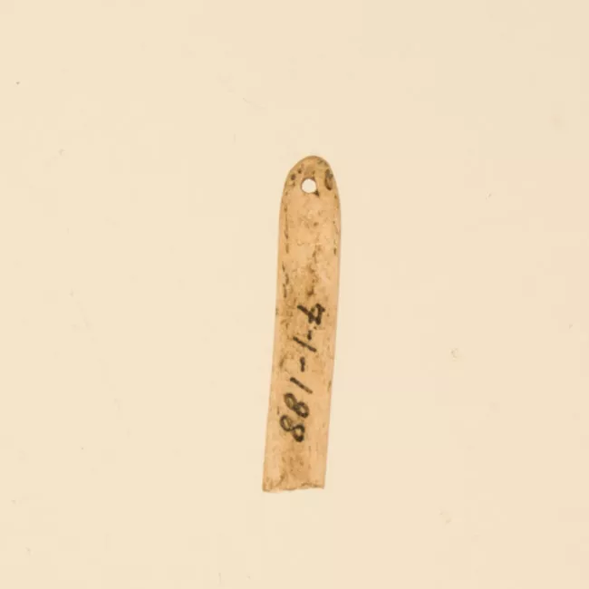 Aguja (arqueológico y etnográfico)