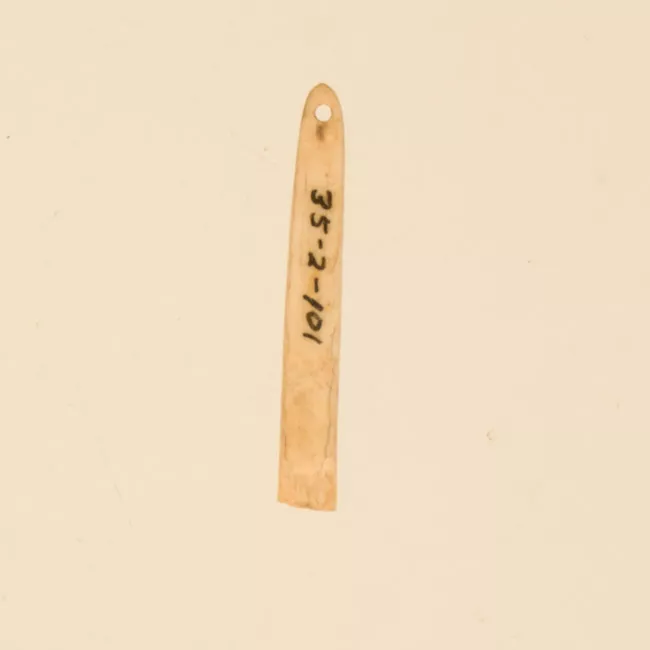 Aguja (arqueológico y etnográfico)