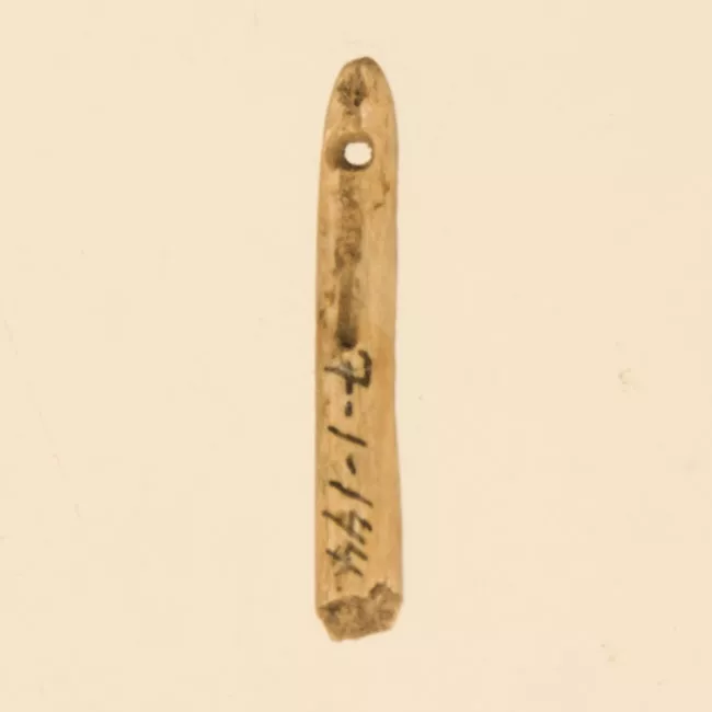 Aguja (arqueológico y etnográfico)