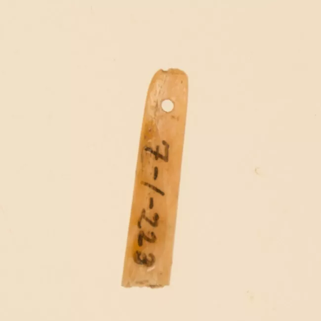 Aguja (arqueológico y etnográfico)