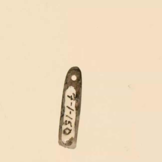 Aguja (arqueológico y etnográfico)