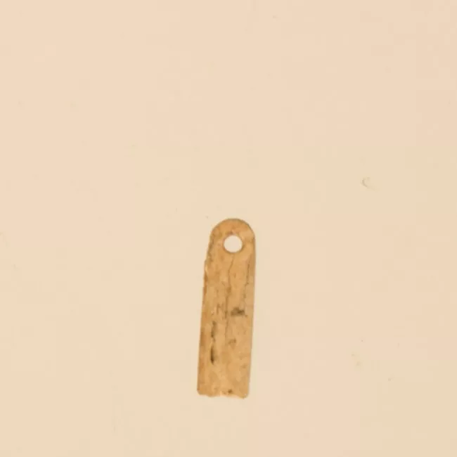 Aguja (arqueológico y etnográfico)