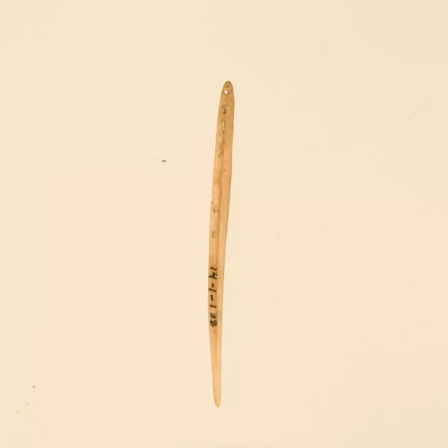 Aguja (arqueológico y etnográfico)
