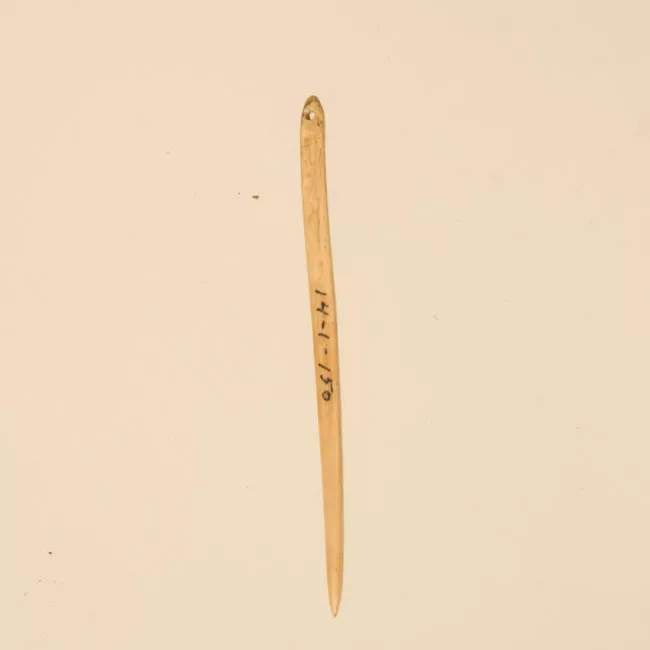 Aguja (arqueológico y etnográfico)