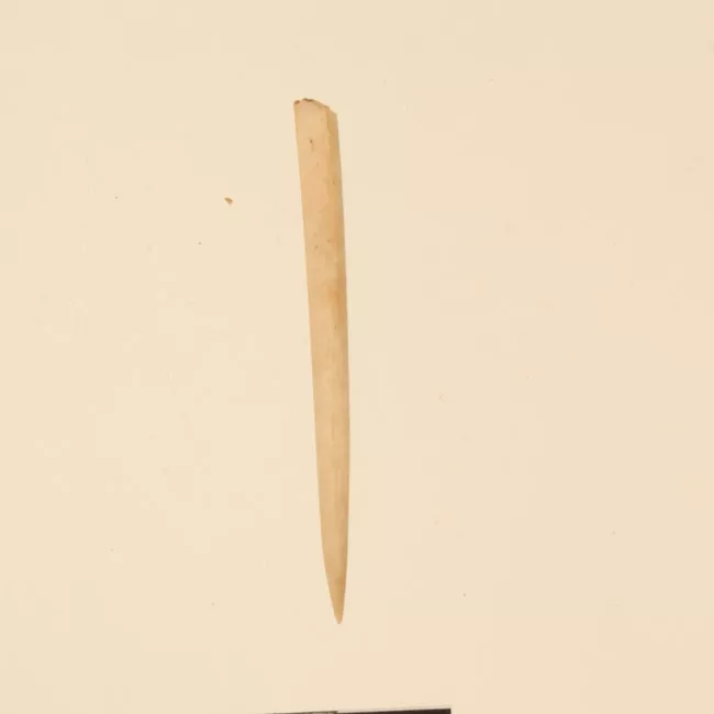 Aguja (arqueológico y etnográfico)