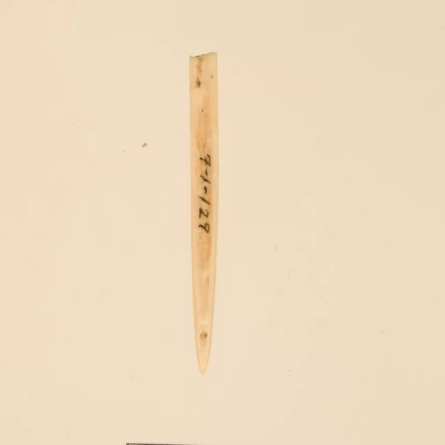 Aguja (arqueológico y etnográfico)