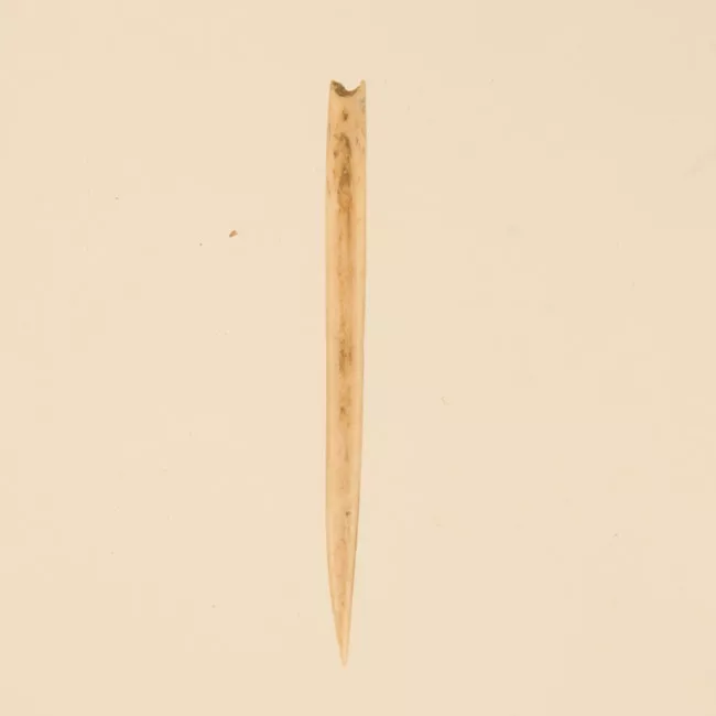 Aguja (arqueológico y etnográfico)