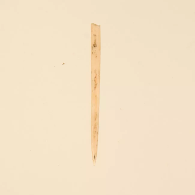 Aguja (arqueológico y etnográfico)
