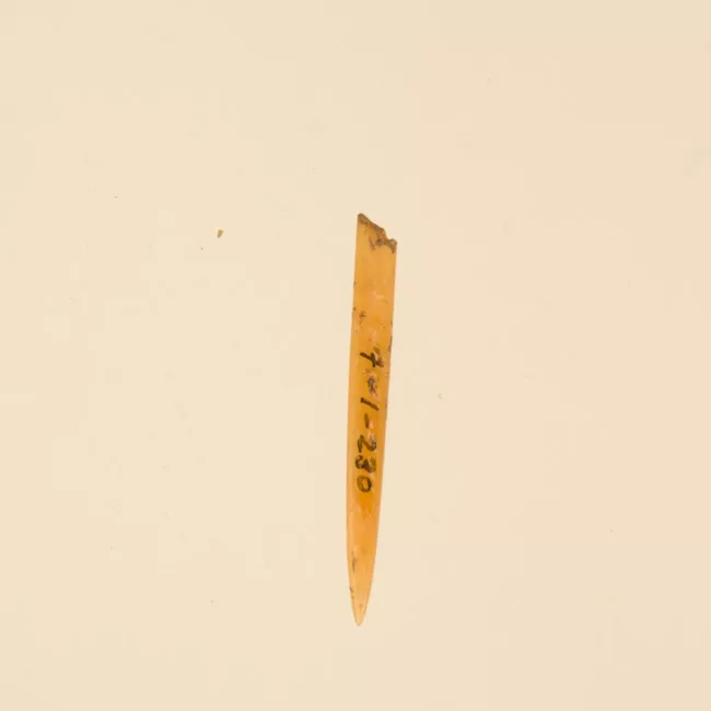 Aguja (arqueológico y etnográfico)