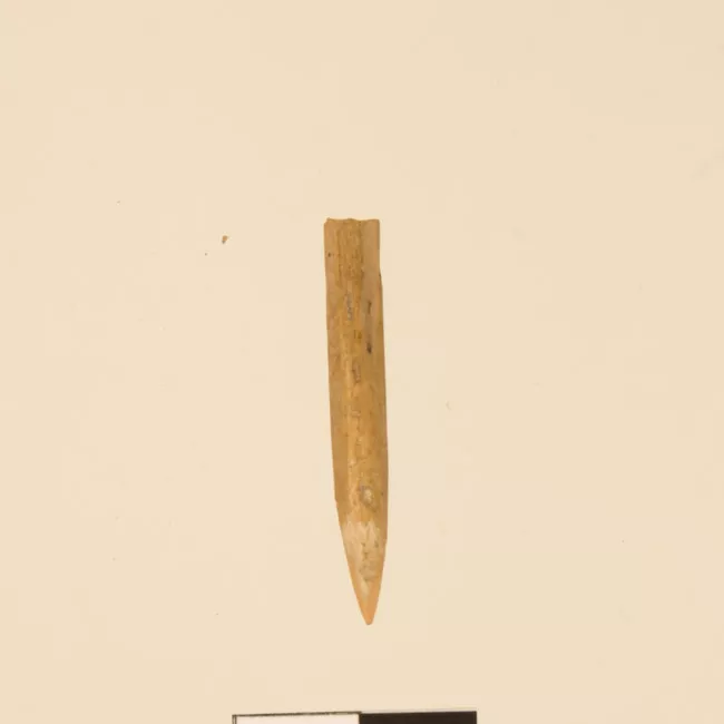 Aguja (arqueológico y etnográfico)