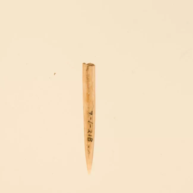 Aguja (arqueológico y etnográfico)