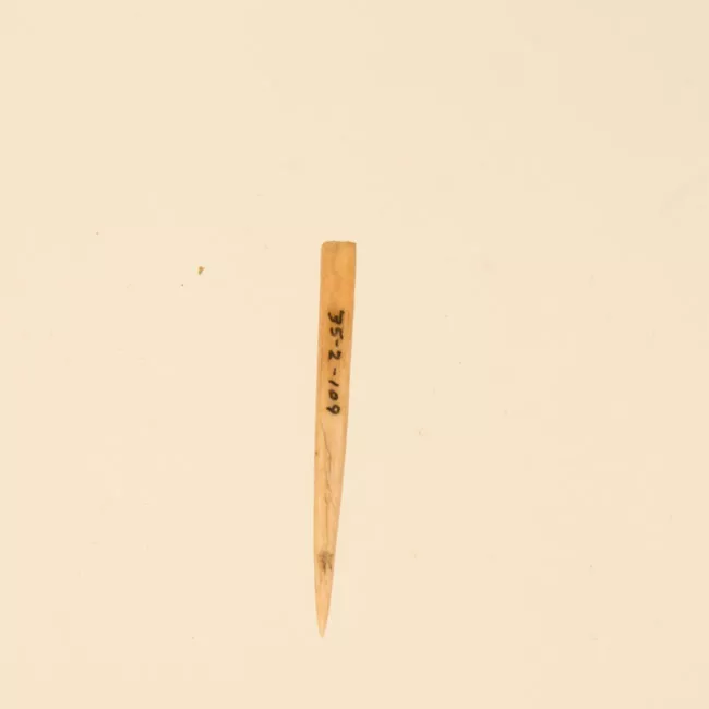 Aguja (arqueológico y etnográfico)