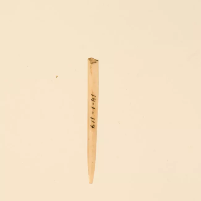 Aguja (arqueológico y etnográfico)