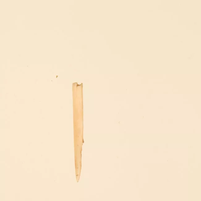 Aguja (arqueológico y etnográfico)
