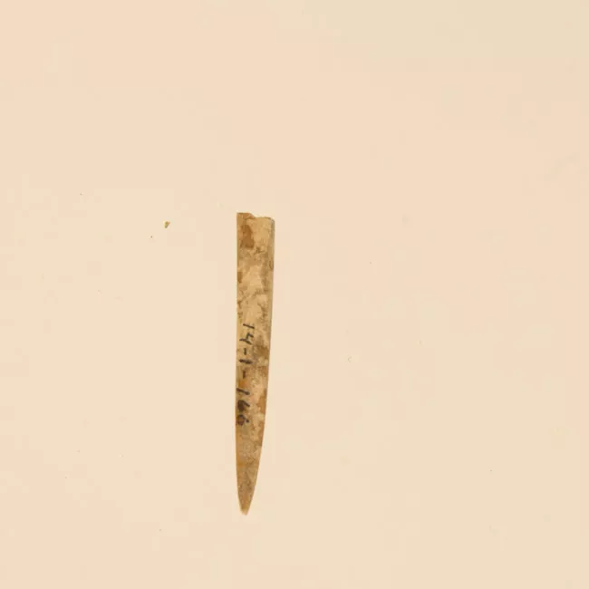 Aguja (arqueológico y etnográfico)