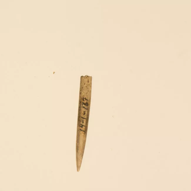 Aguja (arqueológico y etnográfico)