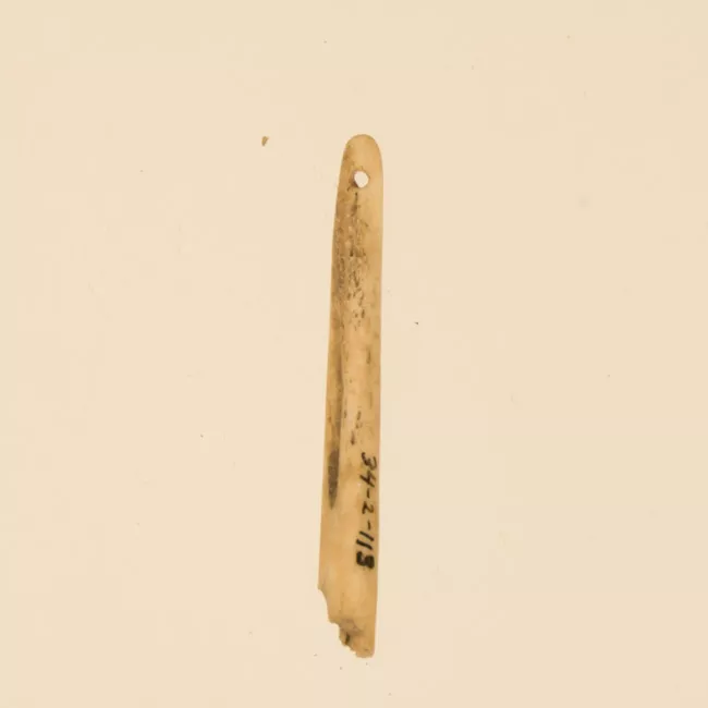 Aguja (arqueológico y etnográfico)