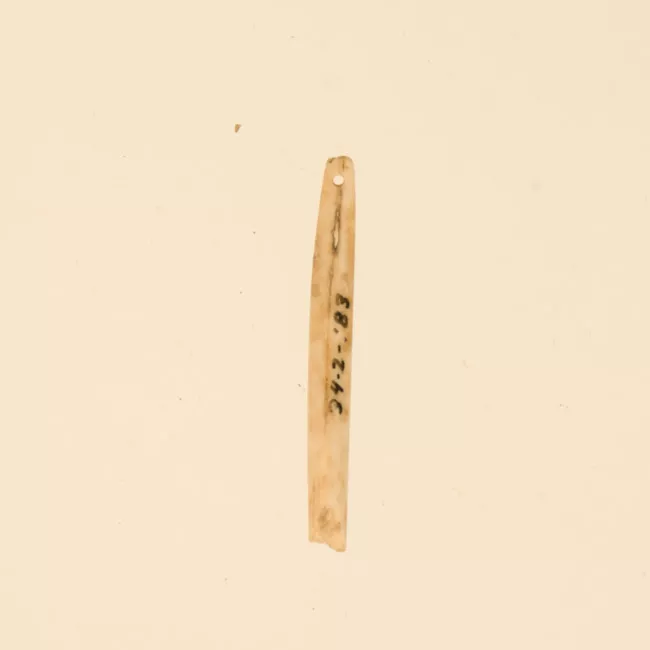 Aguja (arqueológico y etnográfico)
