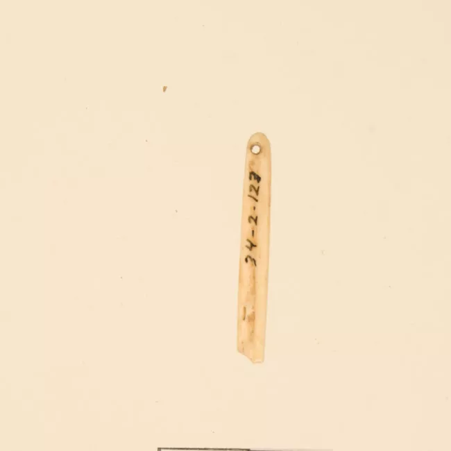 Aguja (arqueológico y etnográfico)