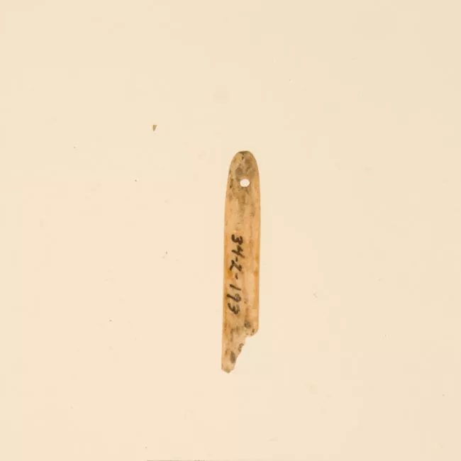 Aguja (arqueológico y etnográfico)