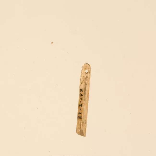 Aguja (arqueológico y etnográfico)