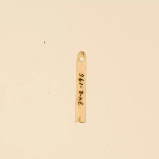 Aguja (arqueológico y etnográfico)