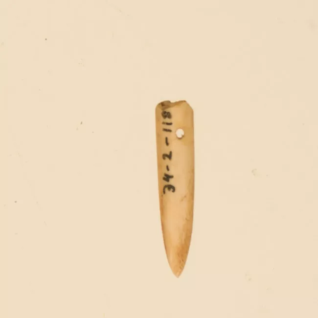 Aguja (arqueológico y etnográfico)