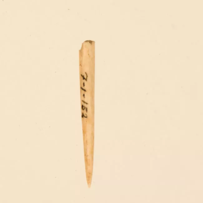 Aguja (arqueológico y etnográfico)