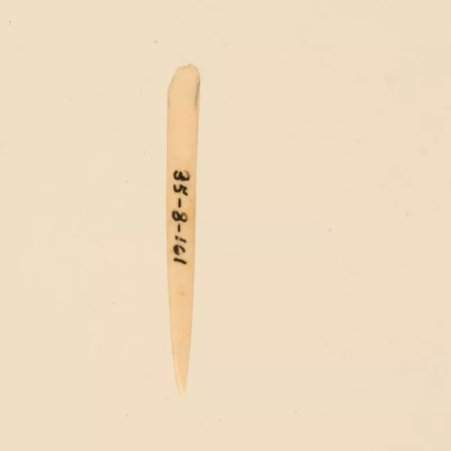 Aguja (arqueológico y etnográfico)
