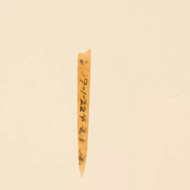 Aguja (arqueológico y etnográfico)