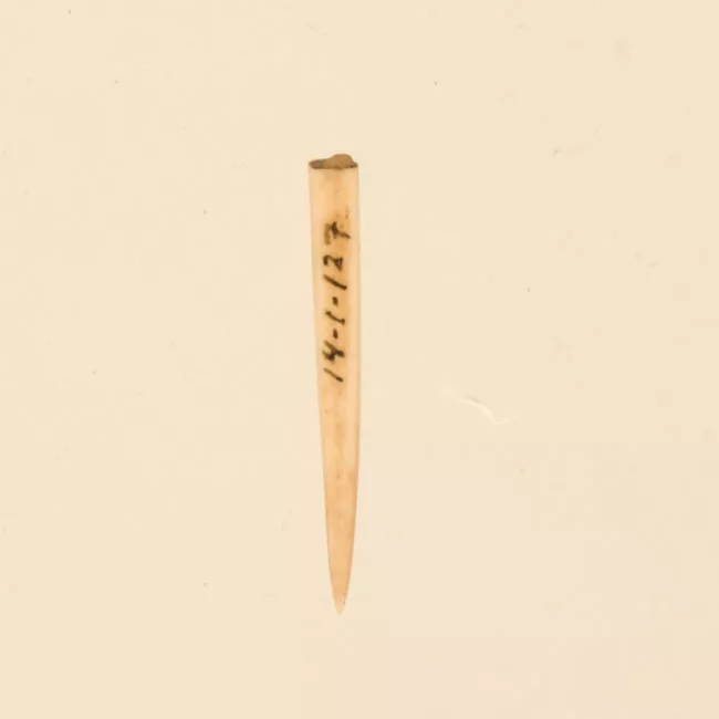 Aguja (arqueológico y etnográfico)