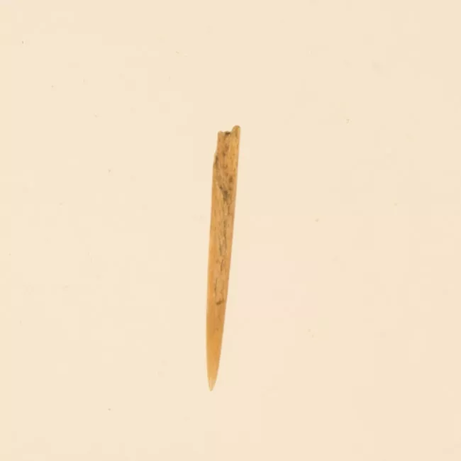 Aguja (arqueológico y etnográfico)