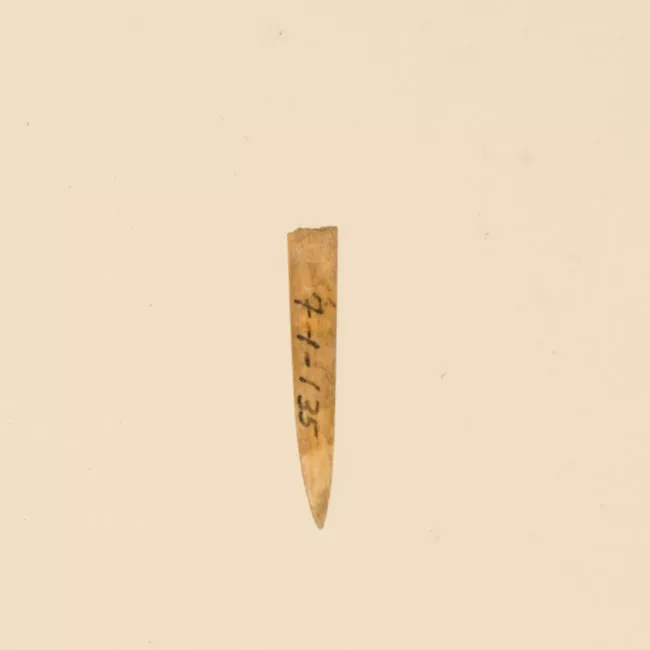 Aguja (arqueológico y etnográfico)