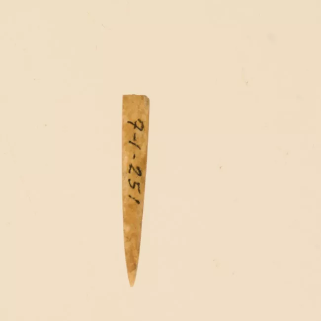Aguja (arqueológico y etnográfico)