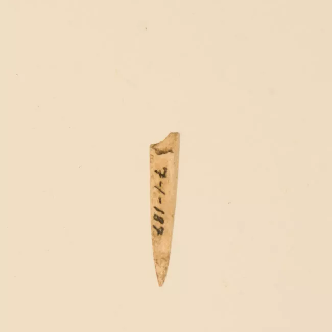 Aguja (arqueológico y etnográfico)