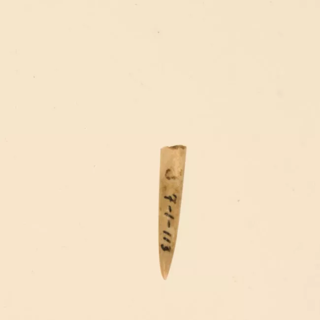 Aguja (arqueológico y etnográfico)